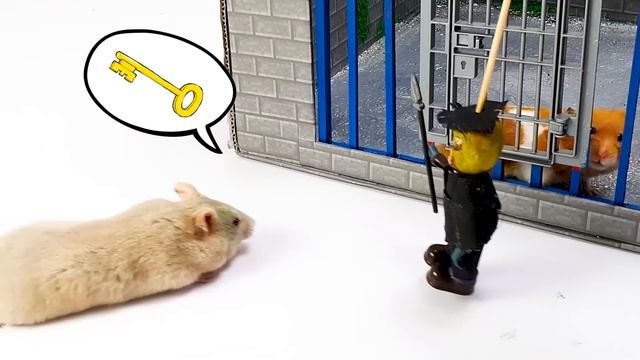 Can Hamham Escapes the Maximum Security Prison? ? 24 Hour Escape Challenge | Life Of Pets HamHam смотреть онлайн