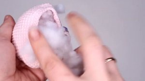 Мастер-класс: перчаточный театр крючком. Сказка "3 поросёнка". Голова. Часть1.