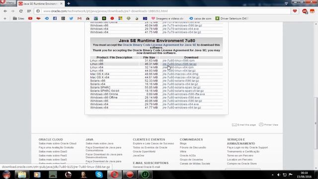 Possiveis soluçoes para o erro (0x00005) Exception_Access_Violation do Java смотреть онлайн