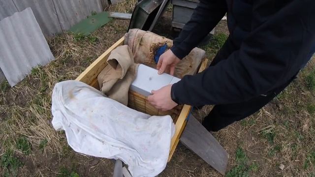 Стимулирующая весенняя подкормка пчёл сахарным сиропом. смотреть онлайн