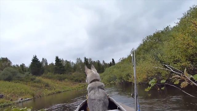 Сплав по р. Бол. Сарьюга. смотреть онлайн
