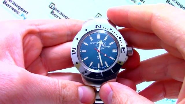 Часы Восток Амфибия 060059 - Видео обзор от PresidentWatches.Ru смотреть онлайн
