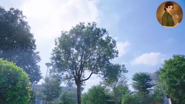 【Full Movie】丈夫和小三公然親熱，不料被妻子閨蜜全拍下來了，丈夫徹底慌了！💕中國電視劇 смотреть онлайн