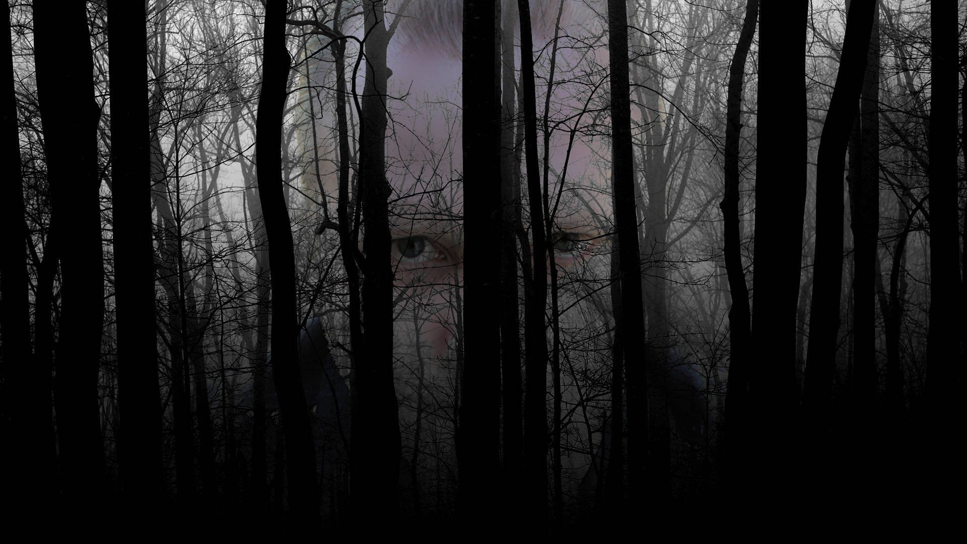 White Fox Music - Spirit