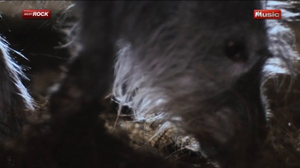 Texas - Start A Family @ 2015 M6 MUSIC HD