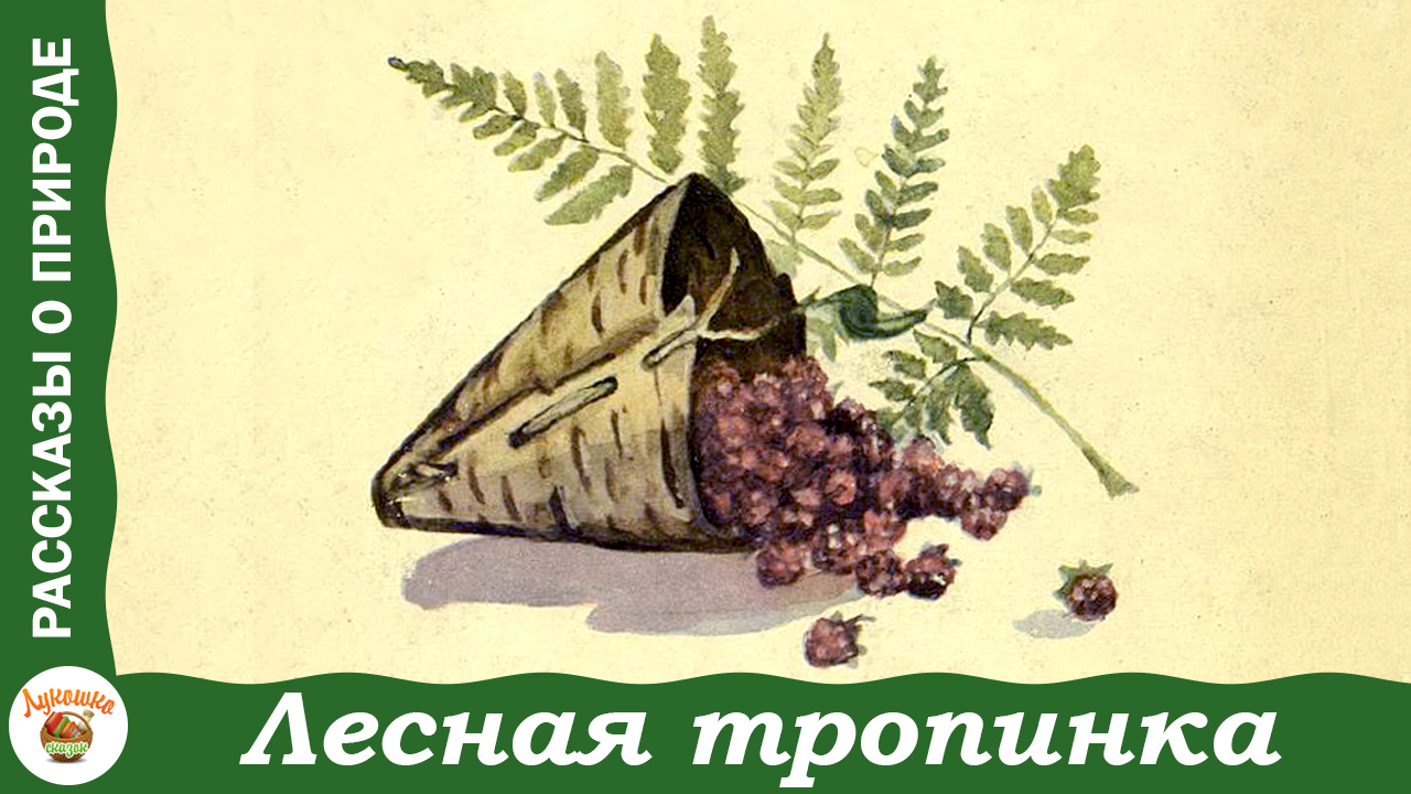 Лесная тропинка. Иван Соколов-Микитов. Рассказы для детей о природе смотреть онлайн