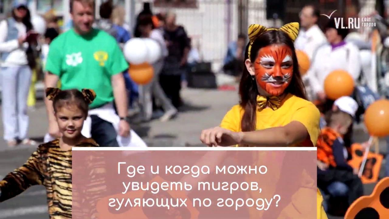 Промо ролик смотреть онлайн