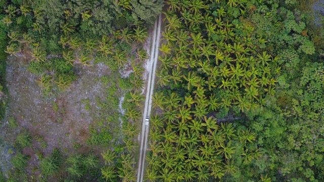 What to see in Mauke | The Cook Islands смотреть онлайн