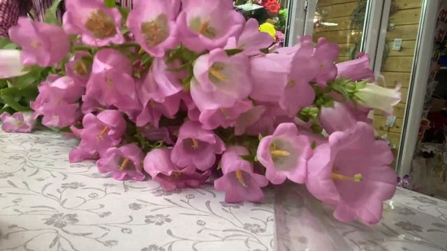 Кампанула 🌸 Распаковка Кампанулы • свежая поставка • рабочие моменты •🌸