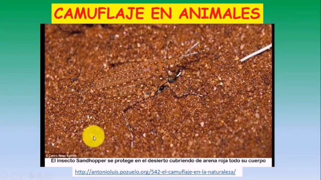 Camuflaje para primer grado. смотреть онлайн