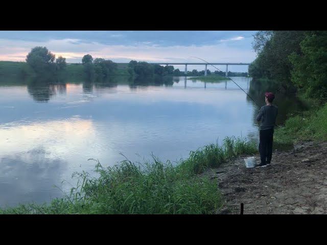 Ночная рыбалка на ОКЕ / Рыбалка на фидер в июне /Длинные дни смотреть онлайн