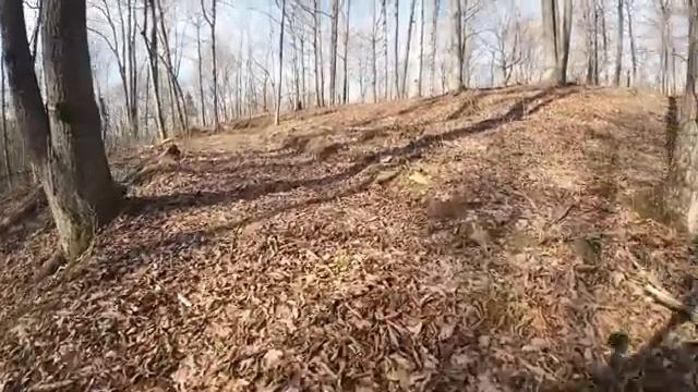 Welding Rebar Approach and Starting the Railings - Timber Bridge Project смотреть онлайн