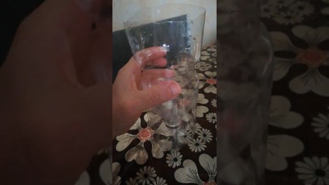 Кормушка для цыплят и поилка смотреть онлайн