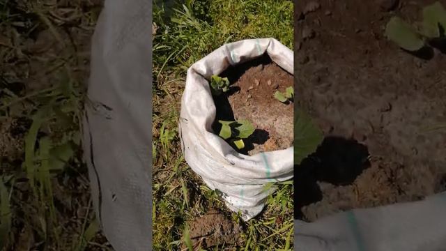 Июнь 2021 смотреть онлайн