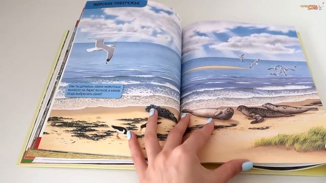 НОВИНКИ детских книг от ПЕШКОМ В ИСТОРИЮ и РОСМЭН смотреть онлайн