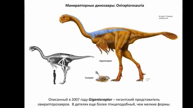 Зеленков Н. Как Великие Динозавры превратились в маленьких куриц. Video ReMastered. смотреть онлайн