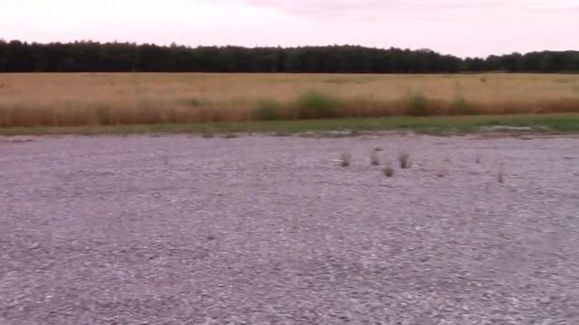 Dawn Patrol Part 1 смотреть онлайн
