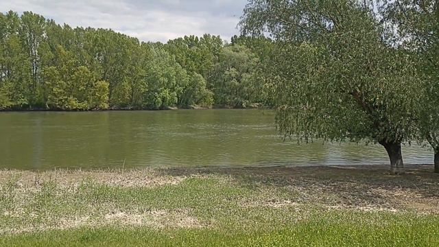 дедушка Днестр отдыхает))))#carpfishing #fishing #carp #nature #forest #днестр #рыбалка смотреть онлайн