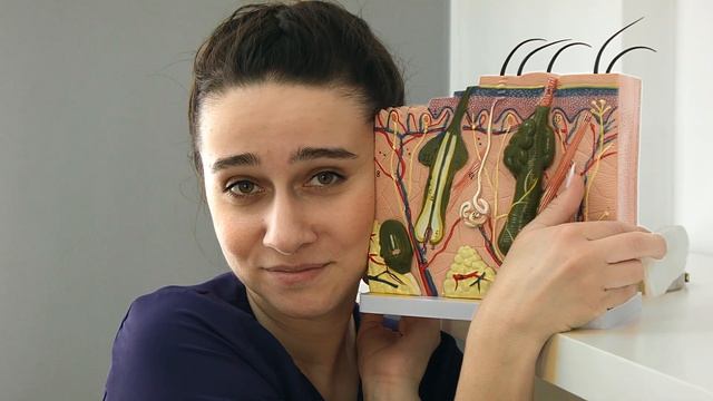 Базовый курс по перманентному макияжу смотреть онлайн