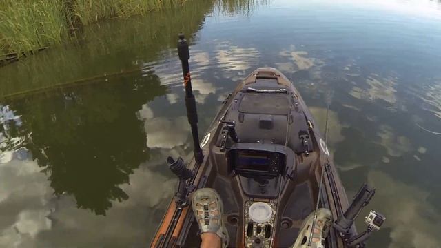 Tips to catching more Redfin PERCH - Rod N Paddle Kayak fishing смотреть онлайн