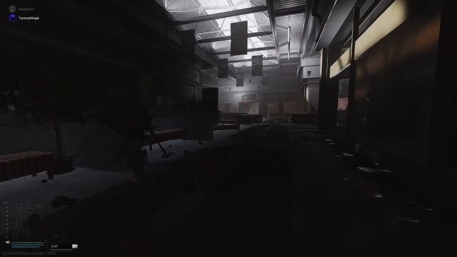 The Dynamic Duo | Escape From Tarkov смотреть онлайн