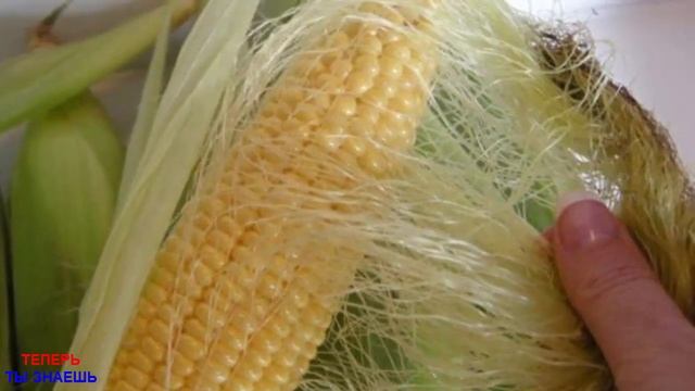 Недержание Мочи у Женщин ПОСЛЕ 50 Лет! Как Вылечить МОЧЕВИК БЕЗ Лекарств! смотреть онлайн