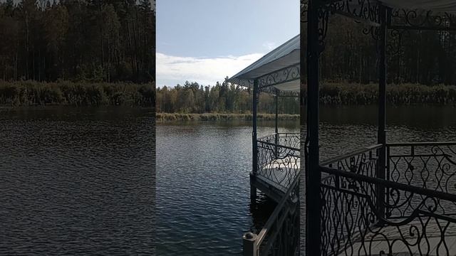 Минута релакса на природе.