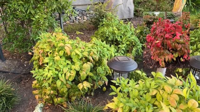 Small Space Garden Path.