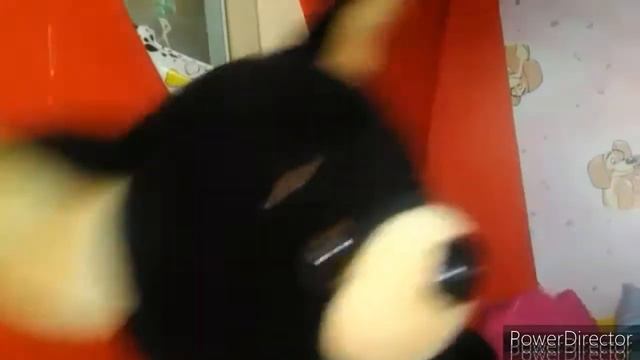 Первое видео и утро собачек Lucky Doggy🤗😍❤ смотреть онлайн