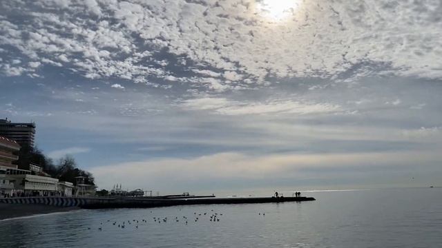 03.02.2021. Погода в Сочи в феврале. Смотри на Чёрное море каждый день. смотреть онлайн