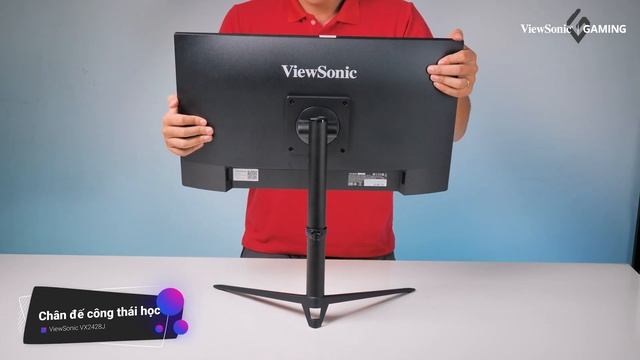 Màn hình ViewSonic VX2428J có gì nổi bật? | ViewSonic Quick Review смотреть онлайн