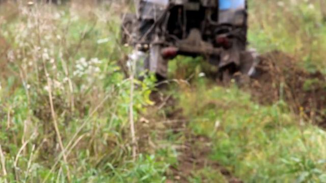 Агротехнические мехуходы за лесными культурами смотреть онлайн