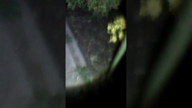 почему опасно гулять ночью смотреть онлайн