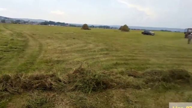 Собираем сено 3мя тракторами. смотреть онлайн
