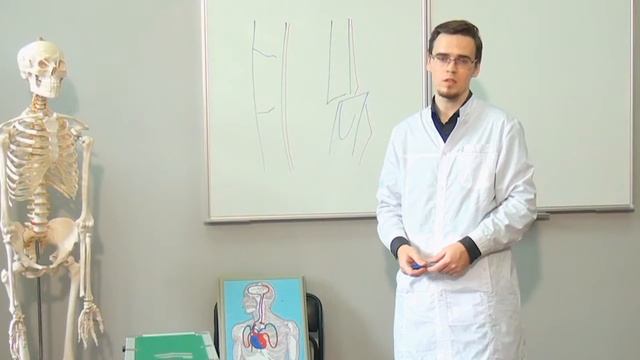 Первая помощь при ДТП#3. Переломы конечностей.