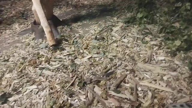 стихотворение о Обыгкновееной генетте16 сентября 2021 г. смотреть онлайн