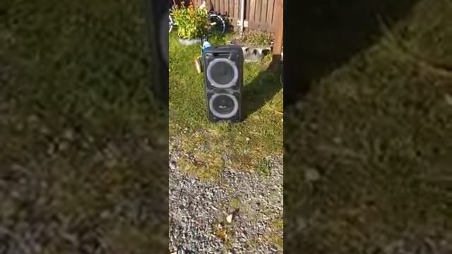 Видео от покупателя г.Беломорск Eltronic 20-14 Dance box 300 топовая модель с мощным АКБ смотреть онлайн