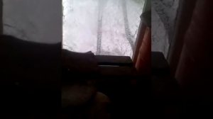 Зима утки.  БАШКИРСКОЙ ПОРОДЫ