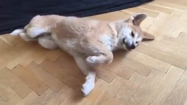 Колыбельная - Горо просыпается, потягушки смотреть онлайн