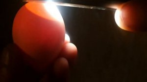 Овоскопирование куриных яиц