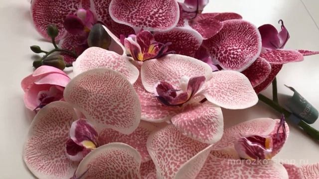 Декоративная ветка искусственная ОРХИДЕЯ, нежно-розовая/розовый, 77 см, 800903, 800904 смотреть онлайн