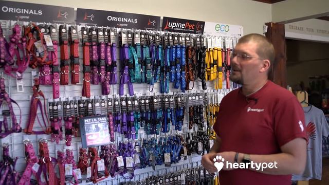 Whats New Wednesday: Lupine Pet Products смотреть онлайн