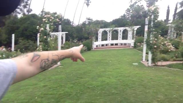 TDW 1115 - The Saving Mr Banks ROSE GARDEN смотреть онлайн