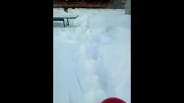 -35 градусов за бортом! смотреть онлайн
