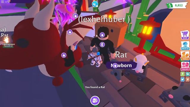 НОВАЯ ОБНОВА В АДОПТ МИ! КРЫСЫ ПАНДА И КУЧА ТРАТ! ?LUNAR? Adopt Me! смотреть онлайн