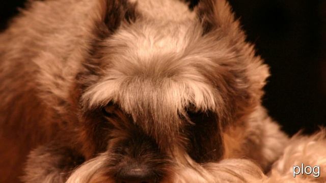 медитация любви смотреть онлайн