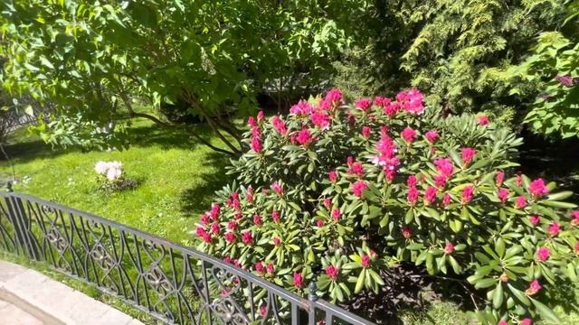 К МАТРОНЕ МОСКОВСКОЙ