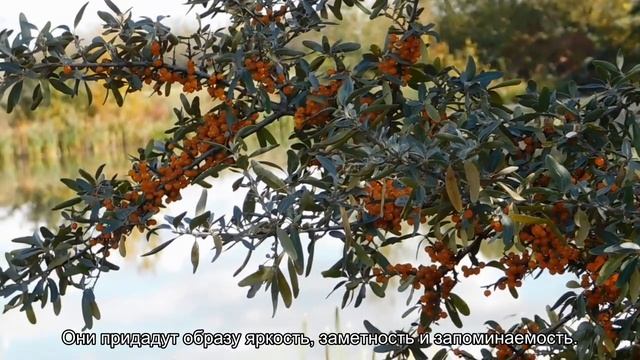 Значение имени Вера. Толкование, судьба, характер смотреть онлайн