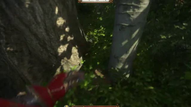 Kingdom Come Deliverance Карта сокровищ XVI (16) смотреть онлайн