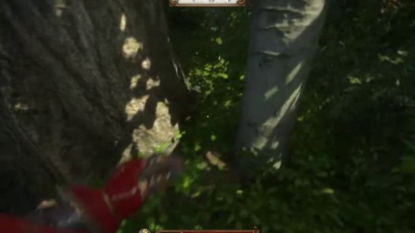 Kingdom Come Deliverance Карта сокровищ XVI (16)